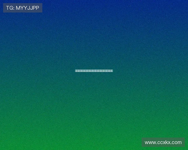 飞速极速在线免费入口畅享极速体验轻松连接全球资源